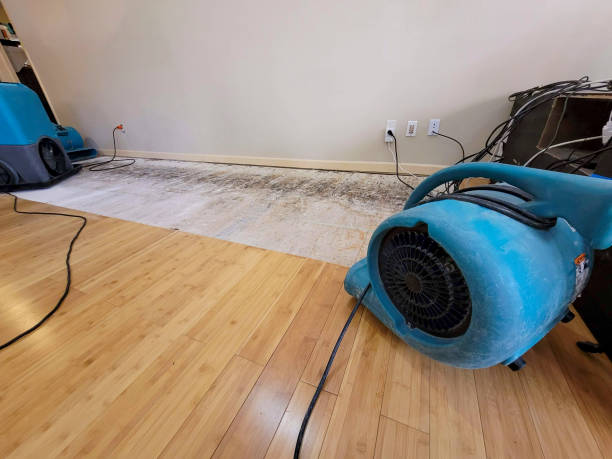 Professional Water Damage Repair technician working in Blythe, CA